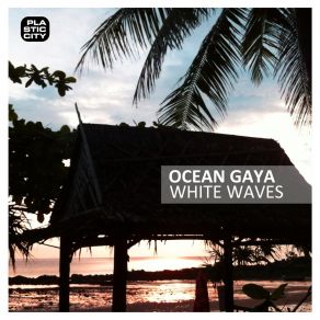 White Waves album cover
