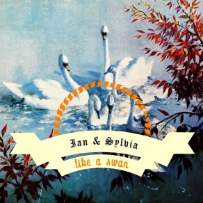 Like A Swan album cover