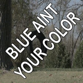 Blue Ain't Your Color - Tribute To Keith Urban album cover