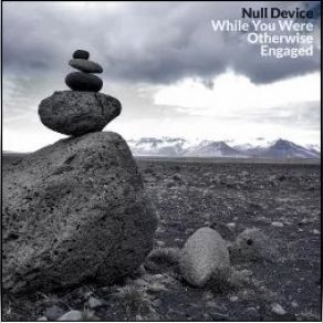 While You Were Otherwise Engaged album cover
