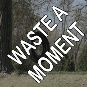 Waste A Moment - Tribute To Kings Of Leon album cover