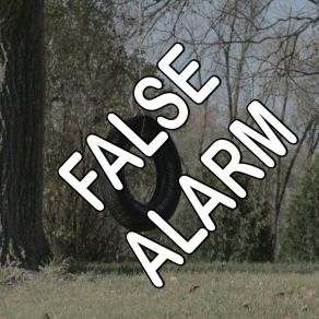 False Alarm - Tribute To Matoma And Becky Hill album cover