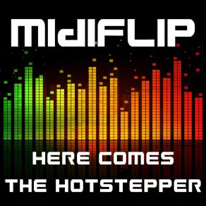 Here Comes The Hotstepper album cover