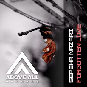 Forgotten Love (Maxi-Single) album cover