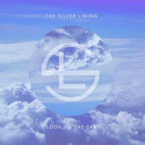 Look To The Sky album cover