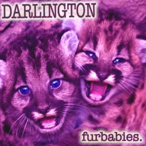 Furbabies album cover