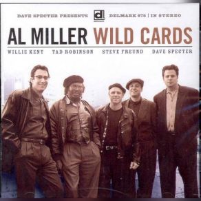 Wild Cards album cover