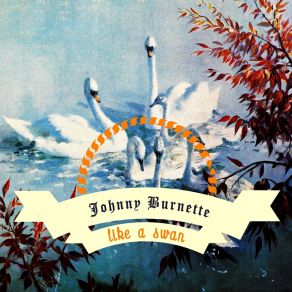 Like A Swan album cover