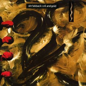Oil & Gold album cover