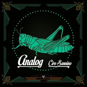 Analog album cover