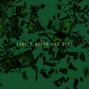 Like I Never Had S *% T - Single album cover