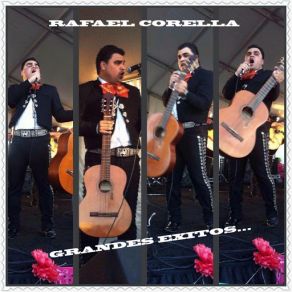 Grandes Exitos... album cover