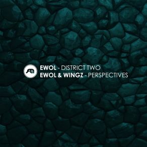 District Two / Perspectives album cover