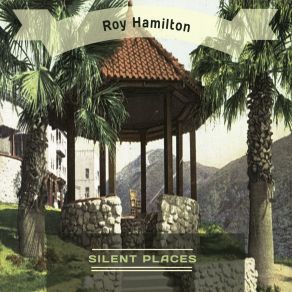 Silent Places album cover