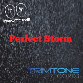 Perfect Storm album cover