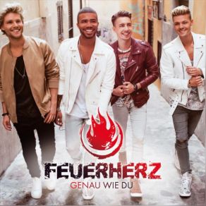 Genau Wie Du album cover