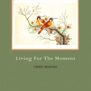 Living For The Moment album cover