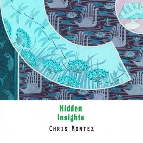 Hidden Insights album cover
