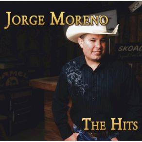 The Hits album cover