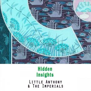 Hidden Insights album cover