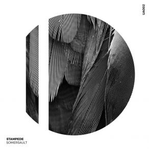 Stampede album cover