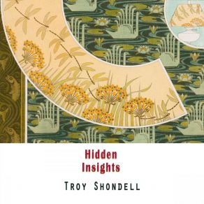 Hidden Insights album cover
