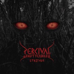 Strzyga album cover