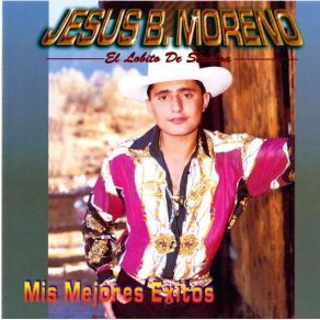 Mis Mejores Exitos album cover