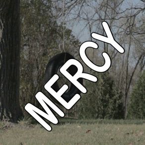 Mercy - Tribute To Shawn Mendes album cover