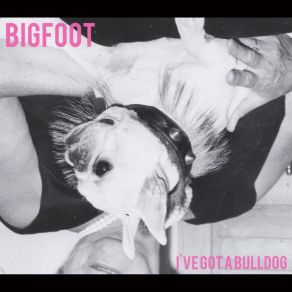 I've Got A Bulldog album cover