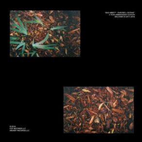 Bad Vibes: Rarities + Extras album cover