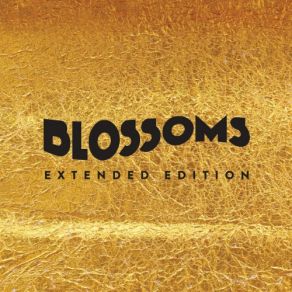 Blossoms (Extended Edition) album cover