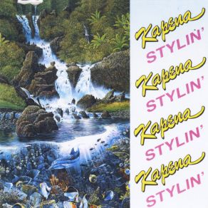 Stylin' album cover