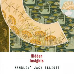 Hidden Insights album cover