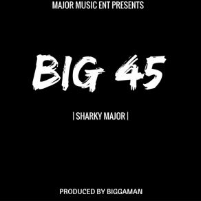Big 45 album cover