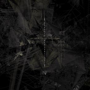 N. V album cover