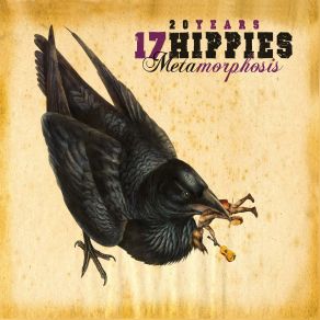 Anatomy & Metamorphosis album cover
