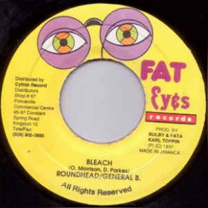Bleach (Maxi-Single) album cover