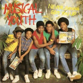 Never Gonna Give You Up (Maxi-Single) album cover