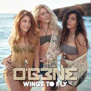 Wings To Fly (Single) album cover