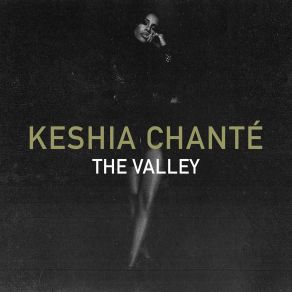 The Valley (Single) album cover