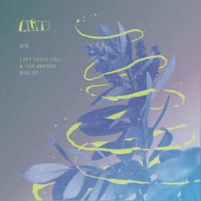 Rise (Maxi-Single) album cover
