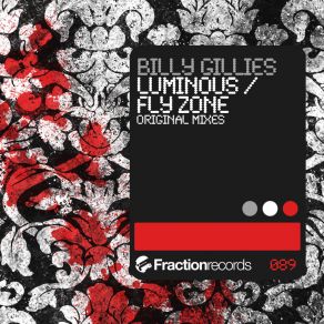 Luminous / Fly Zone (Maxi-Single) album cover