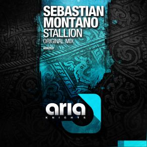 Stallion (Single) album cover