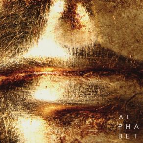 Y album cover
