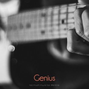 Genius (So Much Music Too Little Time) album cover