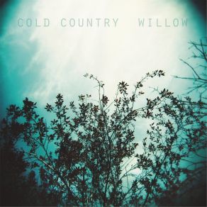 Willow album cover