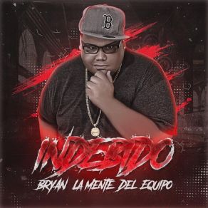 Indebido (Single) album cover