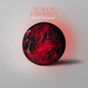 Narcissus In Retrograde album cover