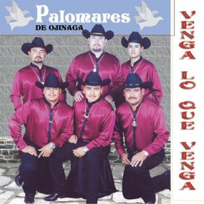 Venga Lo Que Venga album cover